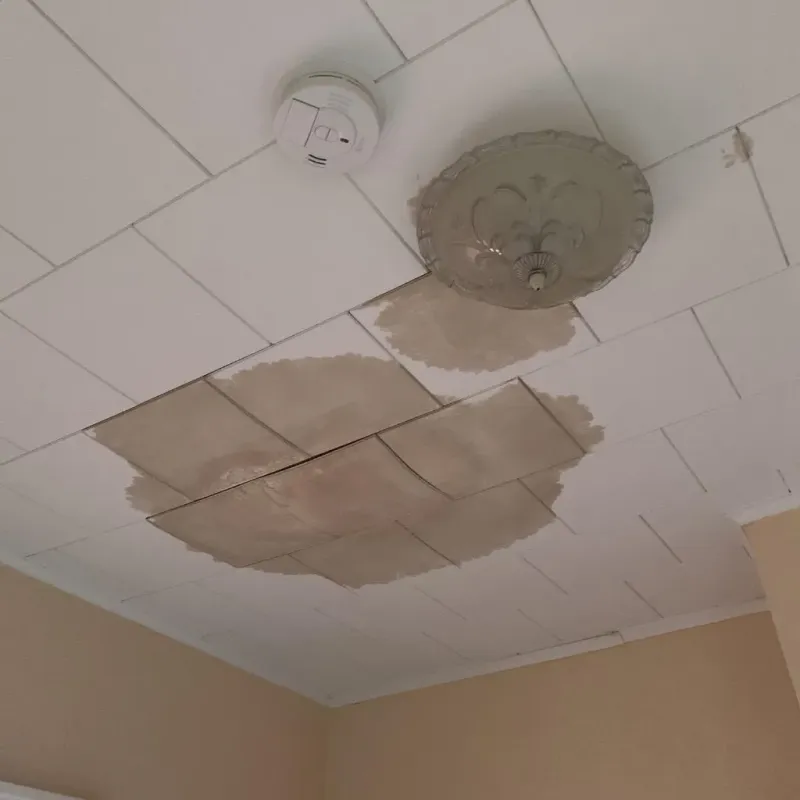 Ceiling Water Damage Repair in Indiana, PA