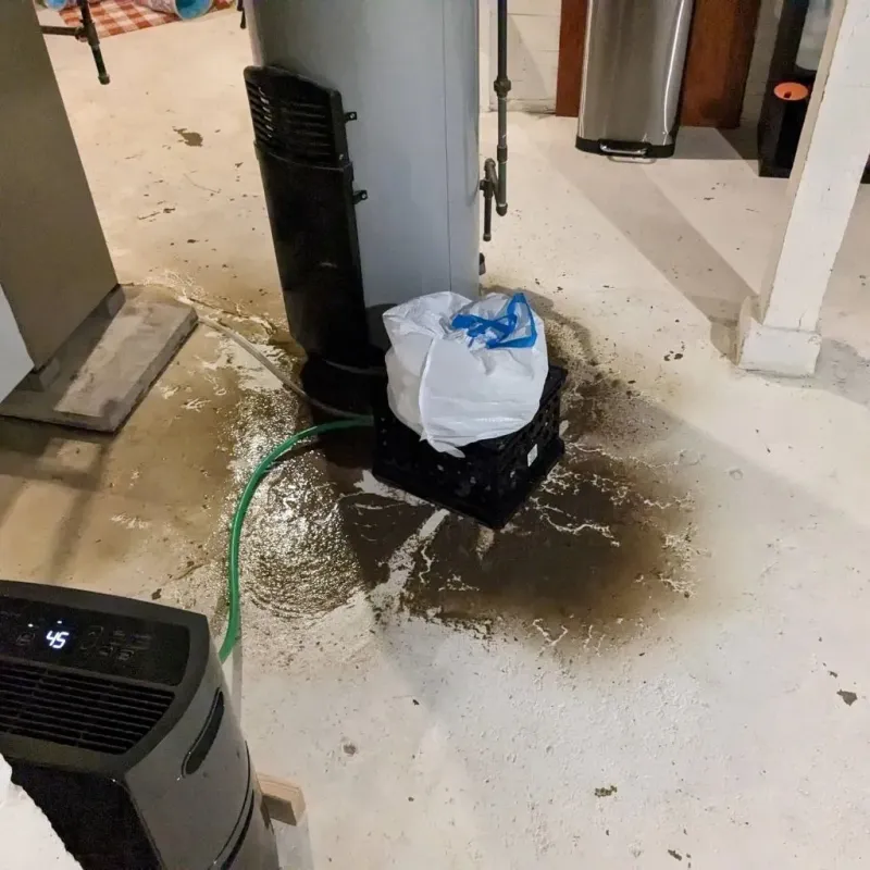Sewage Backup Cleanup Service in Indiana, PA